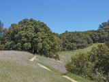 04-D Russian Ridge